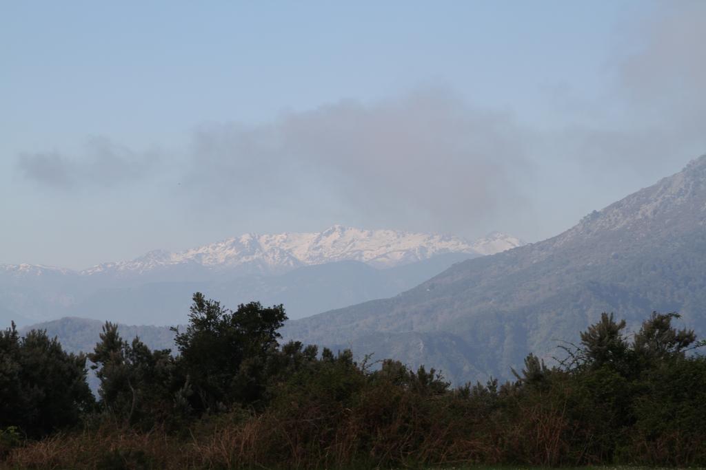 Kallista 1 San-Giuliano Pokoj fotografie