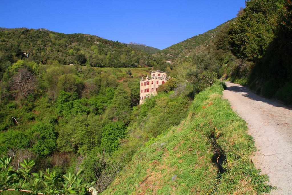 Kallista 1 San-Giuliano Pokoj fotografie